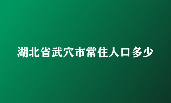湖北省武穴市常住人口多少
