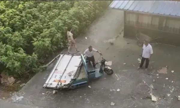 十吨猪肉翻车被哄抢是怎么回事？有关部门是如何回应的？