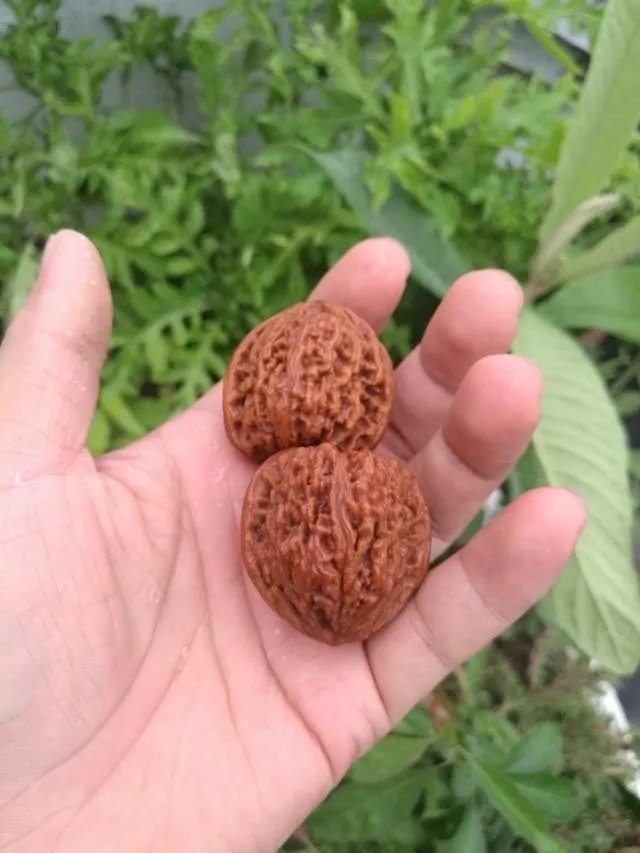 盘核桃的正确姿势是什么？