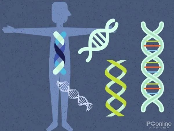 “吃了脱氧核糖”是什么梗？