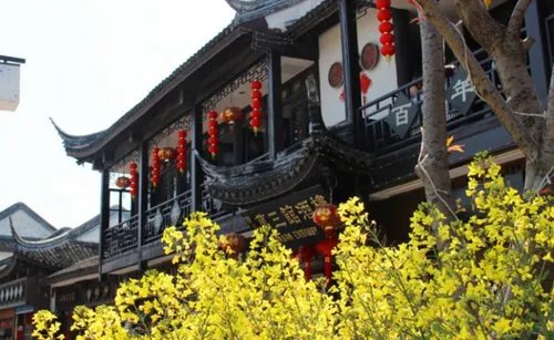 上海周边自驾游有哪些路线？可以说说吗？