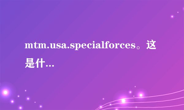 mtm.usa.specialforces。这是什么意思？手表上的