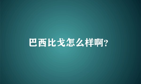 巴西比戈怎么样啊？