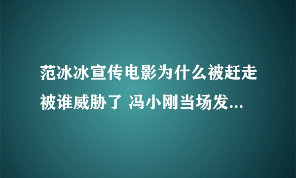 范冰冰宣传电影为什么被赶走被谁威胁了 冯小刚当场发飙愤然离场