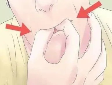 用手指吹口哨怎么吹