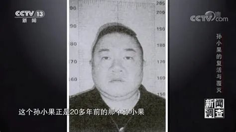 张任可以取什么名字,几人能知张任名。