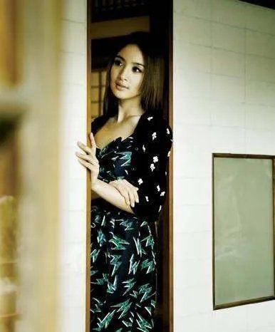 林依晨都演过哪些电视剧?