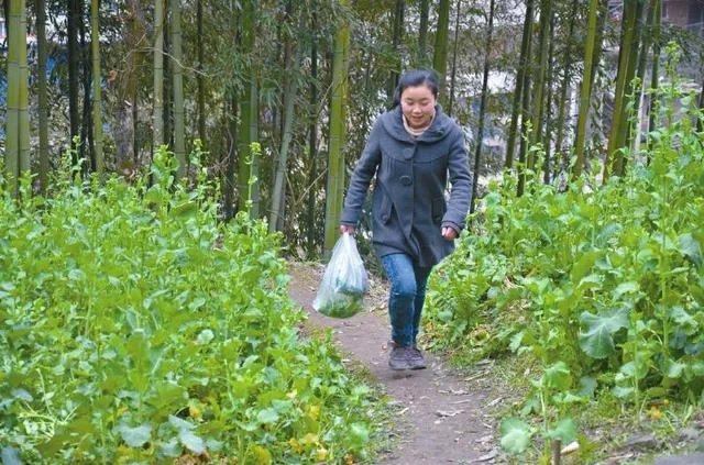 15岁“奔跑女孩”每天4次回家为瘫痪父亲做饭，你怎么看？