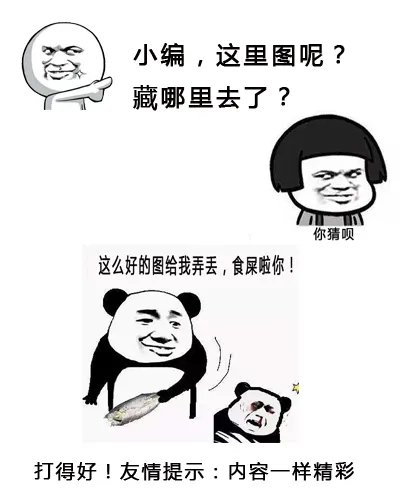 鲁尼转会埃弗顿多少费用 鲁尼的妻子科琳资料照片