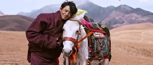 丁真带火理塘，搜索量大涨620%，丁真的流量有多强大？