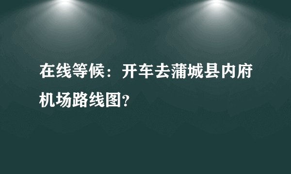 在线等候：开车去蒲城县内府机场路线图？