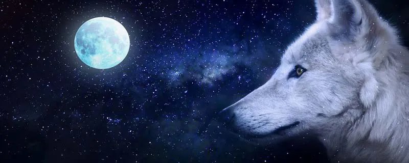 白眼狼的典故 白眼狼的典故出处