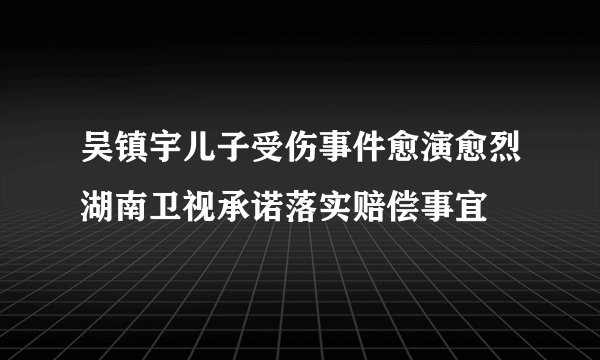 吴镇宇儿子受伤事件愈演愈烈湖南卫视承诺落实赔偿事宜