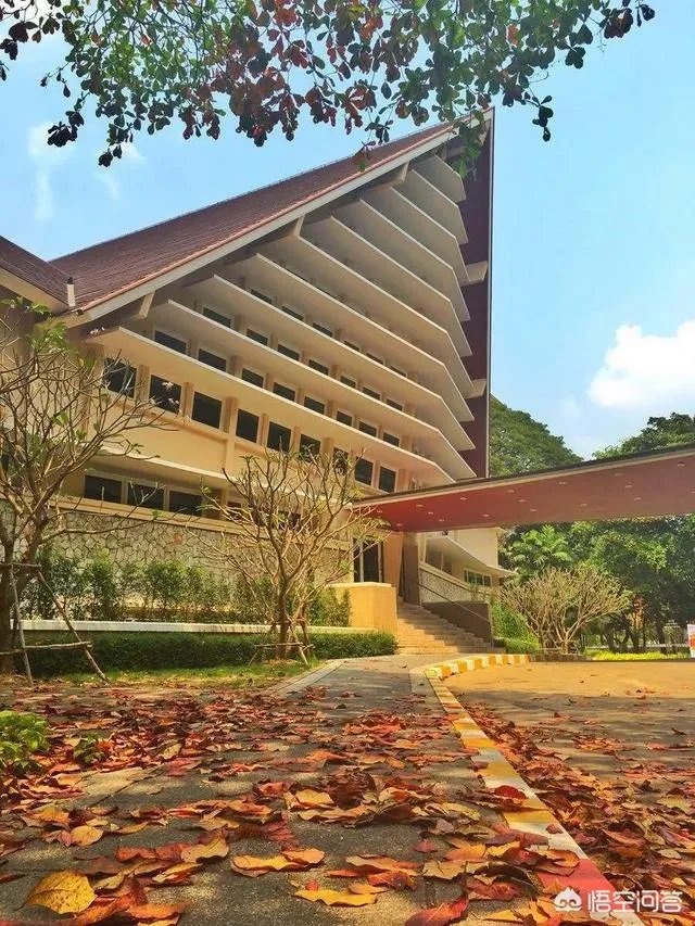 是在国内读专科好，还是去泰国留学好？