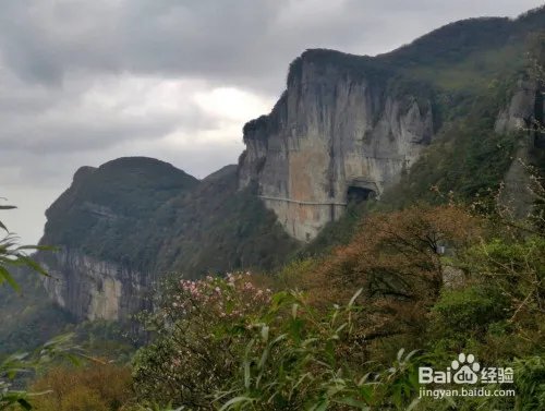 金佛山一日游详细攻略