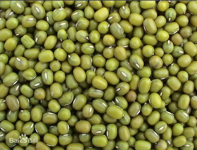 只知道补充维生素C？维生素E的作用才不容小觑！