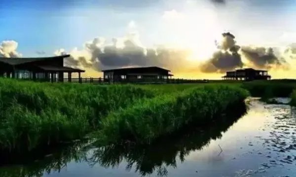 上海周边自驾游有哪些路线？可以说说吗？