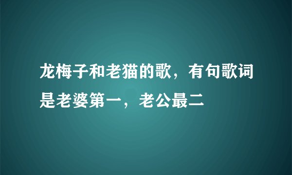 龙梅子和老猫的歌，有句歌词是老婆第一，老公最二