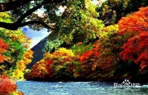 米亚罗旅游攻略