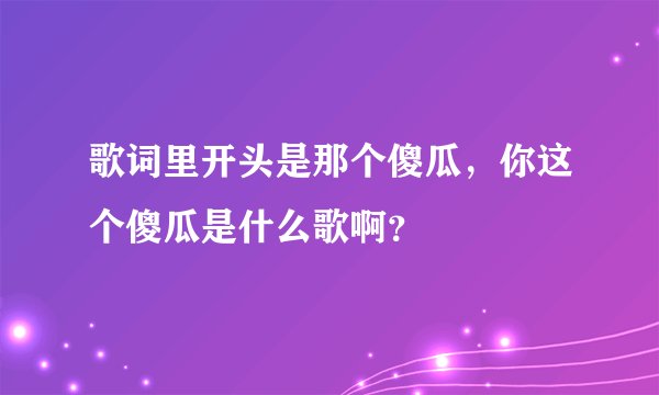 歌词里开头是那个傻瓜，你这个傻瓜是什么歌啊？