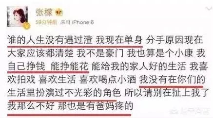 如何评价张檬？