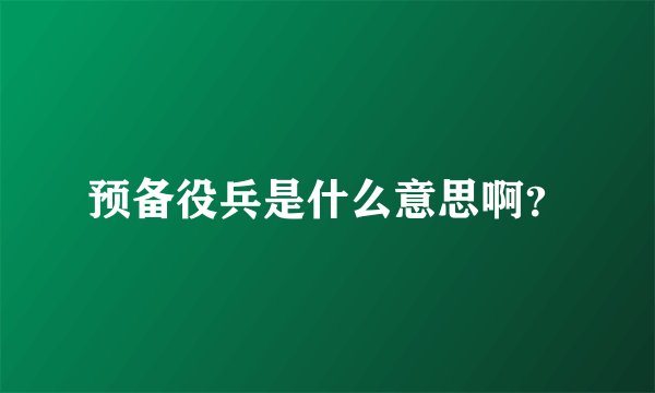 预备役兵是什么意思啊？