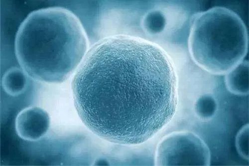 95后女博士高敏攻克癌症是真的吗