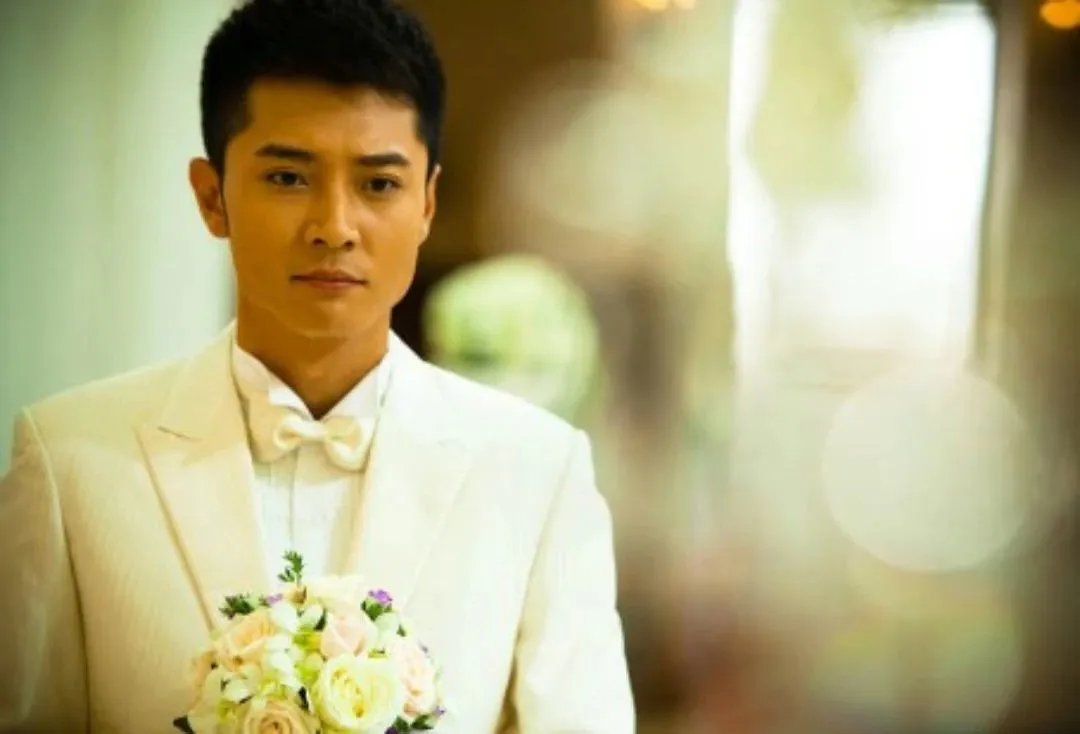 张丹峰演的电视剧都有哪些，如何评价他的演技？