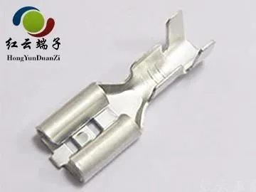 187和250端子各个什么呢？