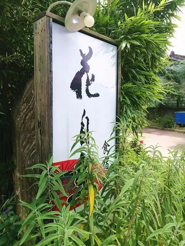 【台湾民宿游记】寻觅台湾民宿的原初精神—— 一次充盈内心天地的美好游学