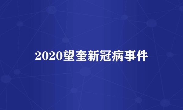 2020望奎新冠病事件