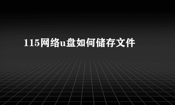 115网络u盘如何储存文件