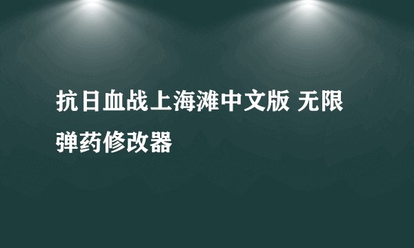 抗日血战上海滩中文版 无限弹药修改器