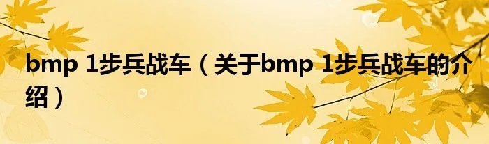 bmp 1步兵战车（关于bmp 1步兵战车的介绍）