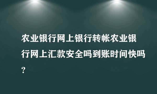农业银行网上银行转帐农业银行网上汇款安全吗到账时间快吗？