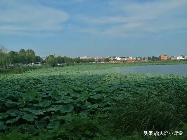 八段锦是否可以自学？