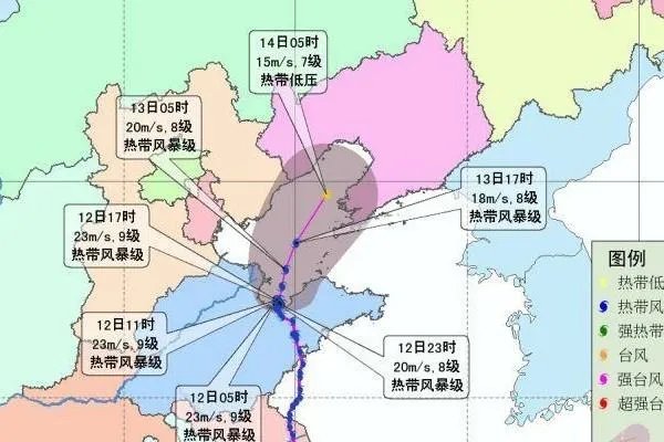 利奇马台风造成这么多的人员伤亡。为什么不能提前撤离呢？