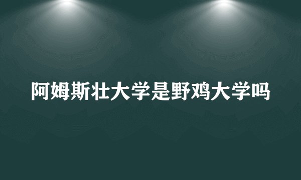 阿姆斯壮大学是野鸡大学吗