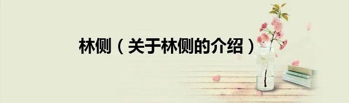 林侧（关于林侧的介绍）