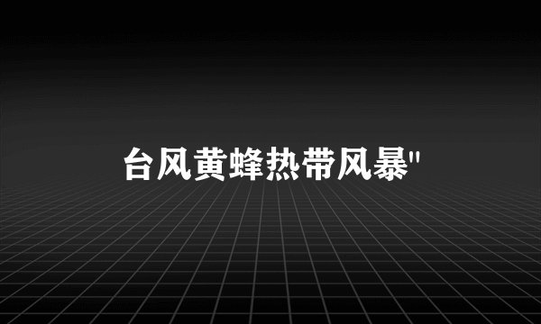 台风黄蜂热带风暴