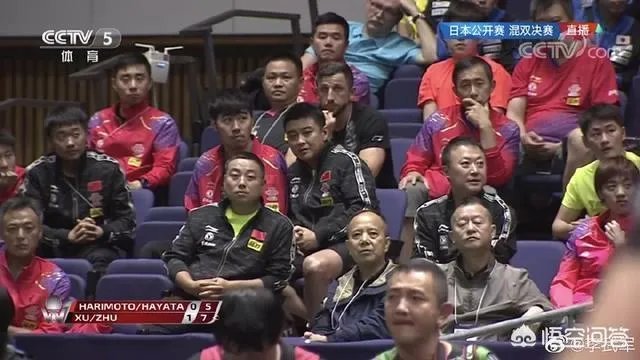 刘国梁指导率队现身混双决赛看台督战，目睹许昕/朱雨玲击溃日乒组合，你怎么看？