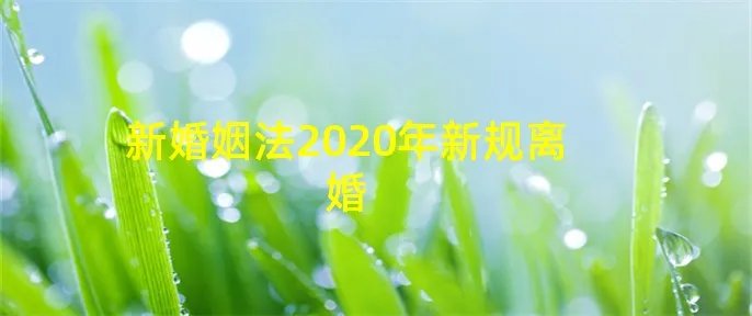新婚姻法2020年新规离婚