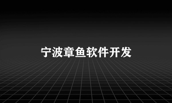 宁波章鱼软件开发