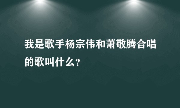 我是歌手杨宗伟和萧敬腾合唱的歌叫什么？