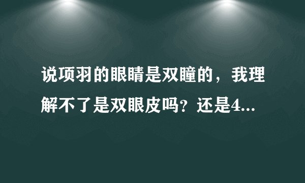 说项羽的眼睛是双瞳的，我理解不了是双眼皮吗？还是4个眼睛？