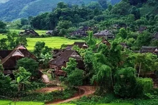 葫芦丝十大名曲有哪些