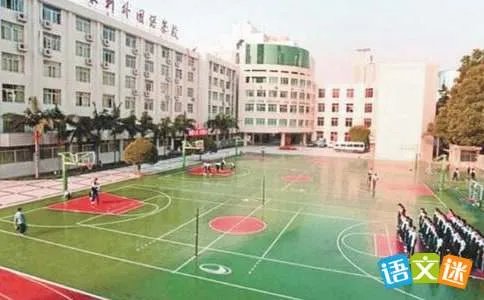 难忘的校园生活作文