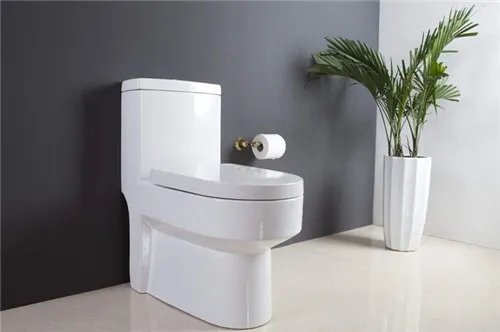 抽水马桶结构图介绍  抽水马桶的选购技巧