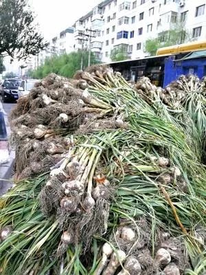 糖蒜怎么做好吃？糖蒜最正宗的做法