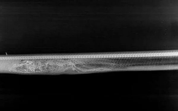 蟒蛇吞下巨鳄后，鳄鱼被消化的过程是什么样？